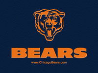 bears logo